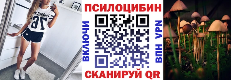 Купить  Гусев  Псилоцибиновые грибы MAGIC MUSHROOMS 