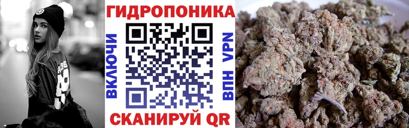 Купить где  Гусев  Конопля план 